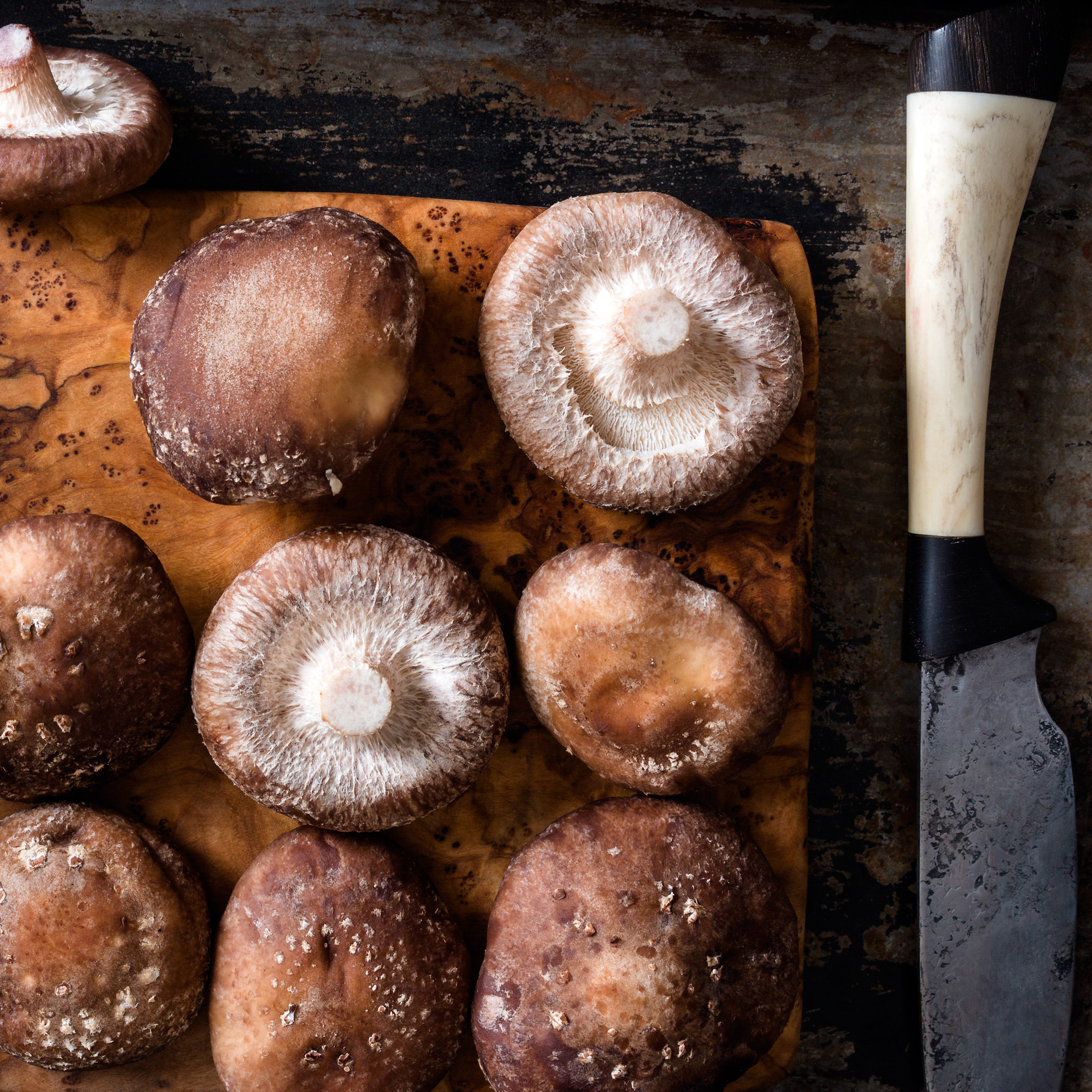 Shiitake